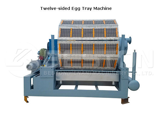 Pulp Molding Machine